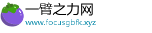 一臂之力网